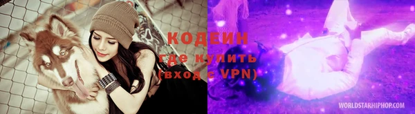 соль ск Абаза
