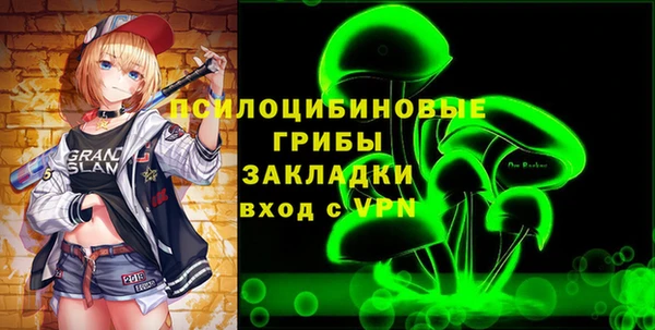 PSILOCYBIN Алзамай