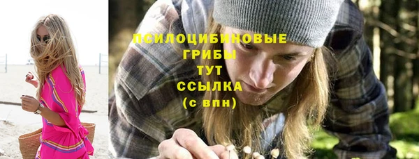 PSILOCYBIN Алзамай