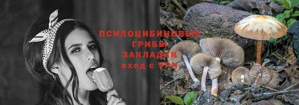 PSILOCYBIN Алзамай