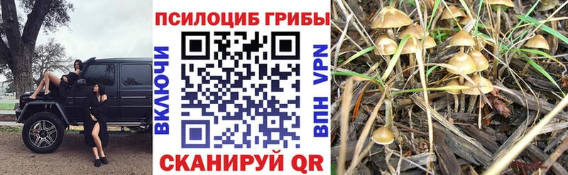 Галлюциногенные грибы ЛСД  Десногорск 
